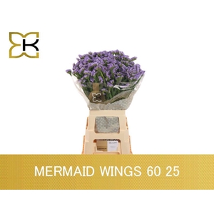 LIM S MERMAID WINGS