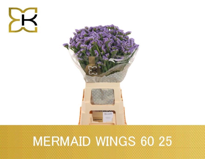 LIM S MERMAID WINGS