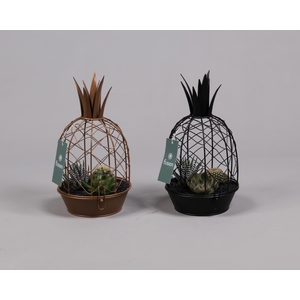 Metaal ananas GOUD met arrangement cactussucculent