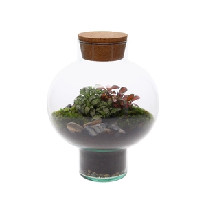 Green BottleLaura Small met Terrarium Arrangement