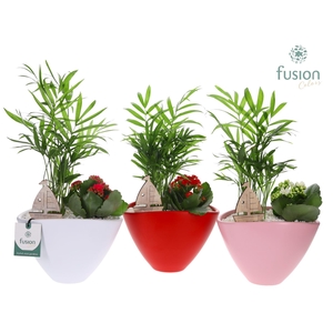 Pot keramiek ovaal Medium met Arrangement