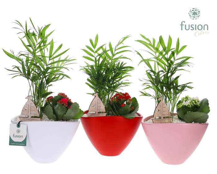 <h4>Pot keramiek ovaal Medium met Arrangement</h4>