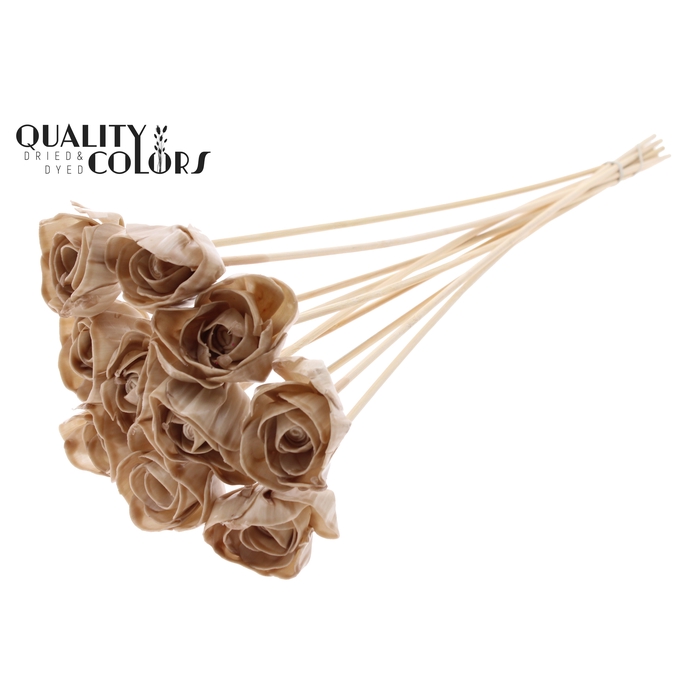 <h4>Shola Dear Holly 6cm on stem Wax Beige</h4>