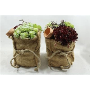 SE112 XXL JUTE ZAK SEMP