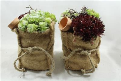 <h4>SE112 XXL JUTE ZAK SEMP</h4>