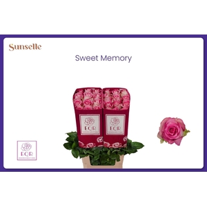 R GR SWEET MEMORY+