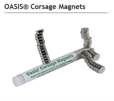 <h4>OASIS® 42-06095 CORSAGE MAGNETEN</h4>