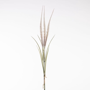 AF Pennis Bnd x3 71cm Cream