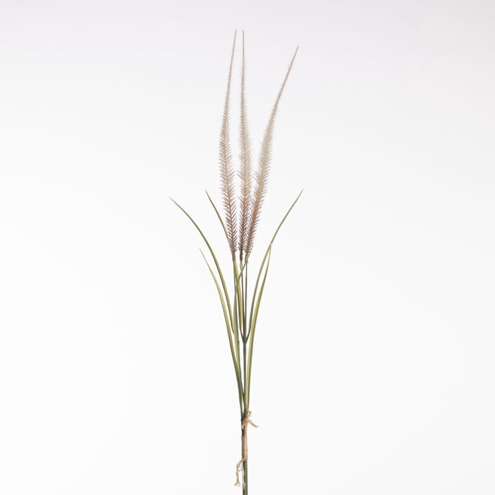 <h4>AF Pennis Bnd x3 71cm Cream</h4>