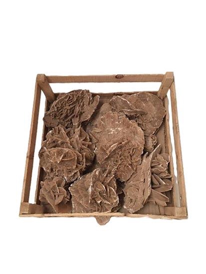 Desert Rose L39W39H12