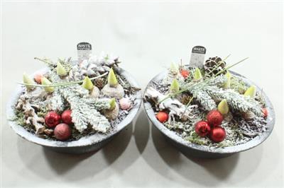 <h4>1152 BLACK ZINK HYA</h4>