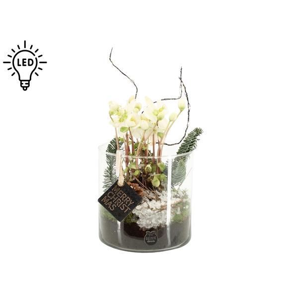 <h4>61701: X-mas arrangement</h4>