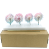 Dried Bleached Dandelion Fantasy Box