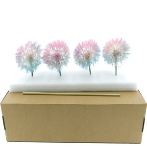 Dried Bleached Dandelion Fantasy Box