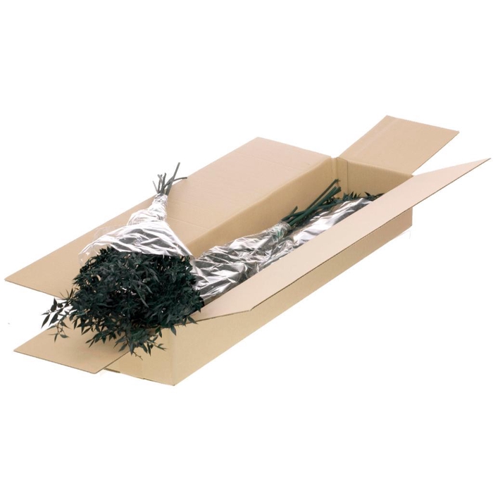<h4>Ruscus Preserved Sb Moss Green</h4>