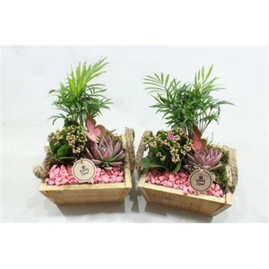 3622 HOUT TOUW-OOR INDOOR
