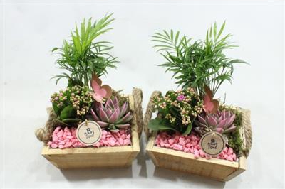 <h4>7690 Hout + Touwoor Roze</h4>