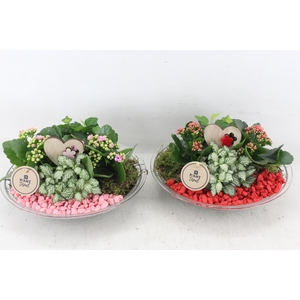 arr2 PL - Glas schaal 27cm - rood/roze