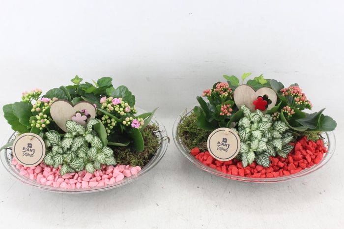 <h4>arr2 PL - Glas schaal 27cm - rood/roze</h4>