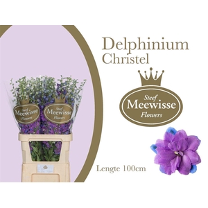 Delph El Du Christel