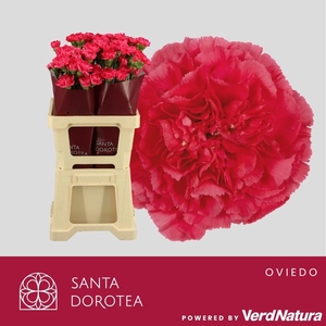 DI ST OV CERISA