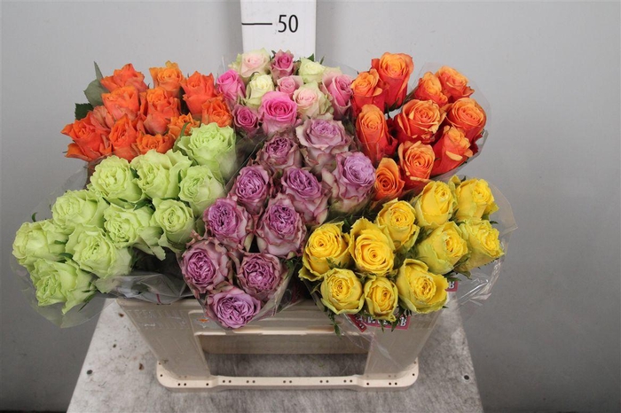 <h4>R Gr Gemengd In Fust</h4>