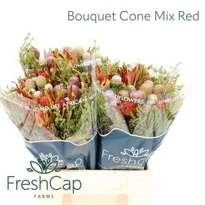 Bouquet Cone Mix Red