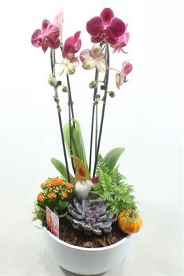 <h4>1120 Cascade Orange</h4>