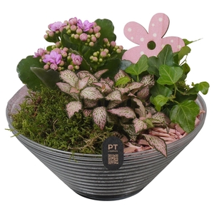 Arr.    Planten  L%