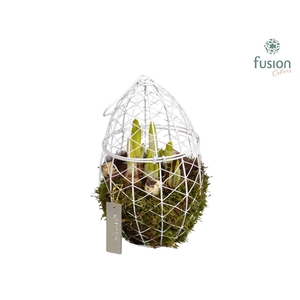 Metaal rek met Narcis Tat