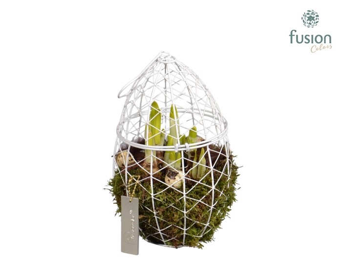 <h4>Metaal rek met Narcis Tat</h4>