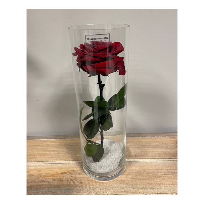 <h4>Cilinder d10x30h bordeaux glas</h4>