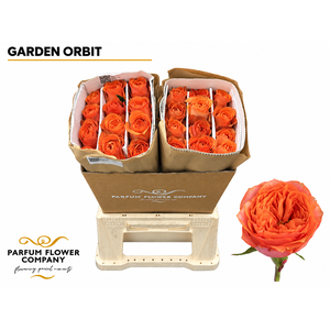 Rosa Garden Orbit