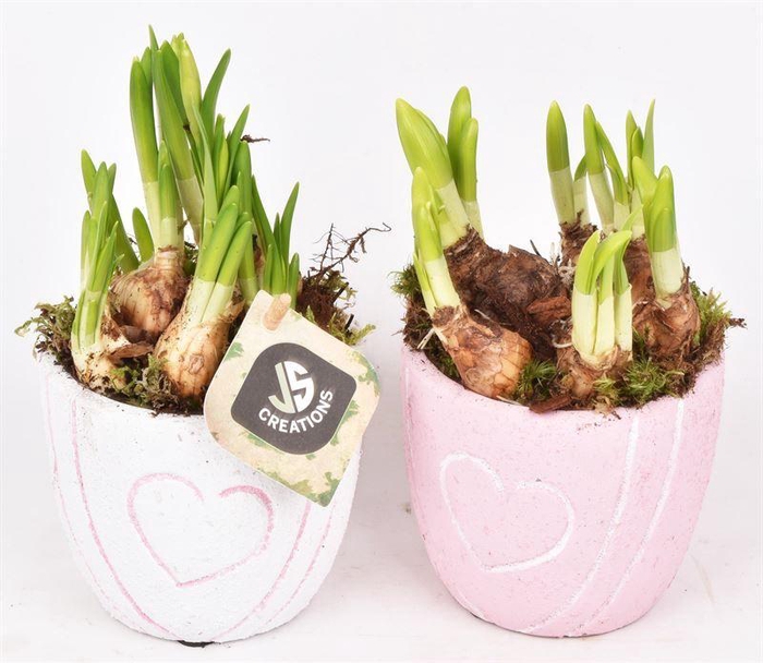 <h4>Cement pot met hart decor mix 10cm</h4>