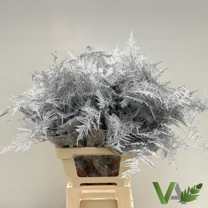 <h4>ASP OV KLB H%</h4>