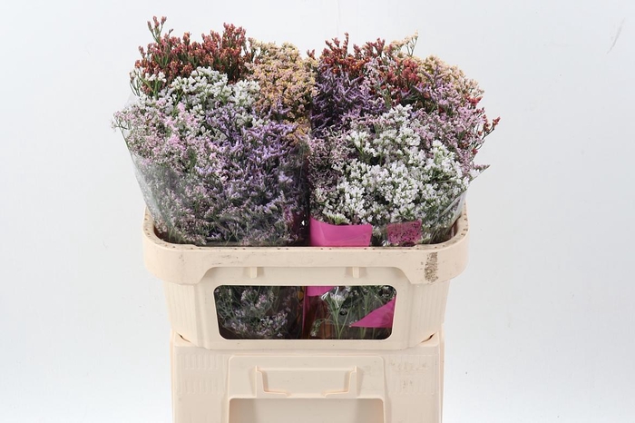 <h4>Lim Sin Diamond Gem</h4>