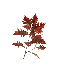 Oak Leaf Spray Red Green