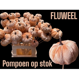 HUIS EN TUINDECO H%