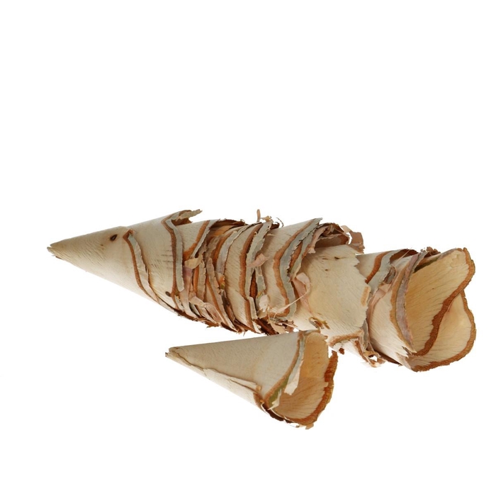 <h4>Dried articles Birch roll large x8</h4>