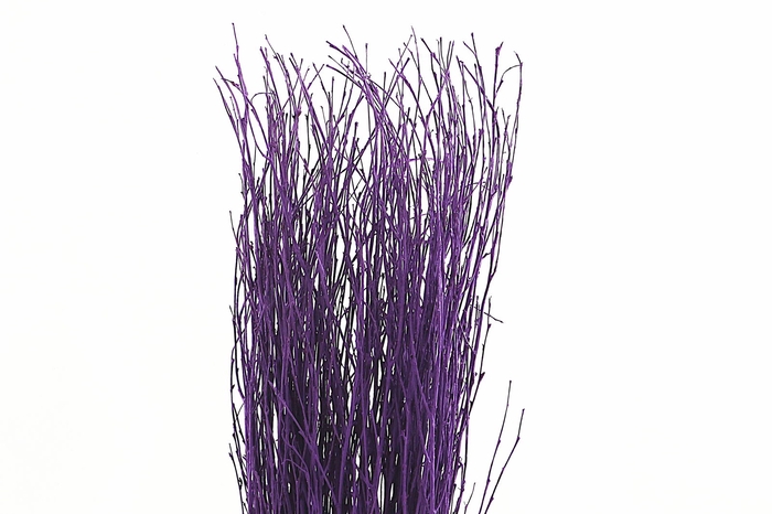 <h4>Berk Klb Purple</h4>