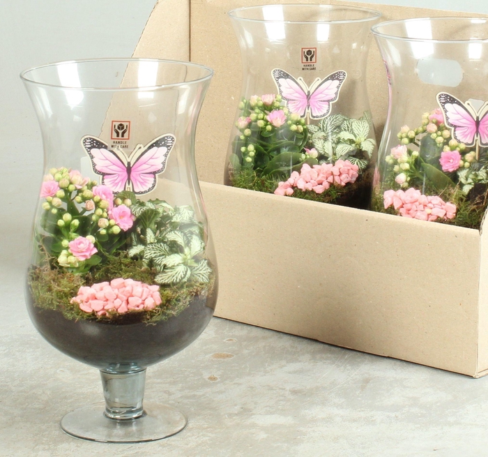 <h4>ARR KAMERPL</h4>