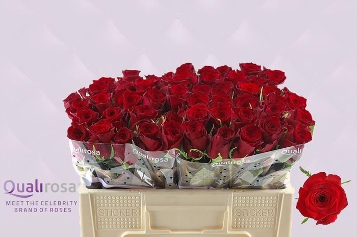 <h4>R Gr Monte Carlo</h4>