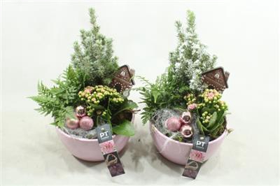 <h4>3515 Roze Ker Boompje</h4>