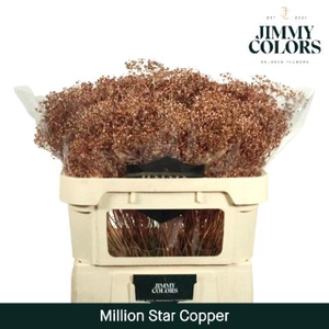 Gyps Million Star L70 Metallic Copper