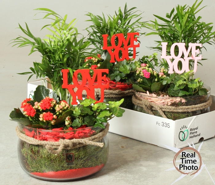 <h4>ARR KAMERPL</h4>