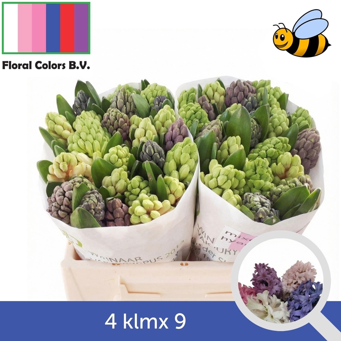 <h4>HYAC GEM 4 KLEUREN</h4>