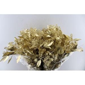 EUCA POPULUS BERRY METAL GOLD H%*