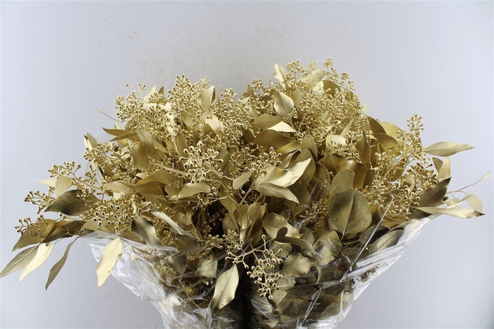 <h4>EUCA POPULUS BERRY METAL GOLD H%*</h4>