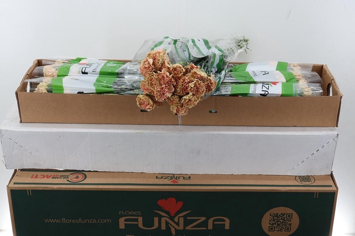 <h4>Di St Ambar Box</h4>