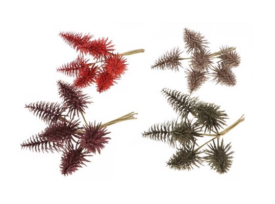 Bunch Tree Nobilis Pick 6pcs